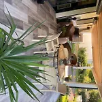Appartement Le Volcan