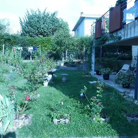 Le Volcan * Rochefort (Charente-Maritime)