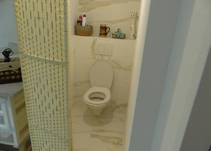 Le Volcan Rochefort (Charente-Maritime)